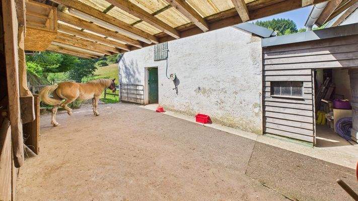 CAM01984G0-PR0509-STILL079