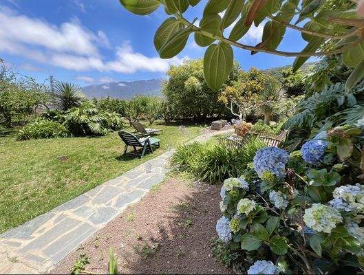 WhatsApp Image 2025-05-01 at 12.21.56 (1).jpeg