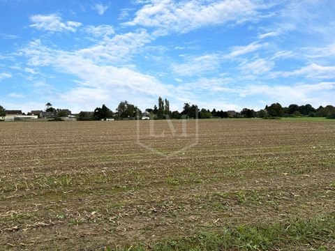 Heinsberg Bauernhöfe, Landwirtschaft, Heinsberg Forstwirtschaft