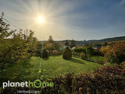 Garten Blick Richtung Westen 