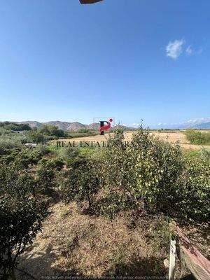 WhatsApp Image 2024-09-06 at 10.30.42.jpeg