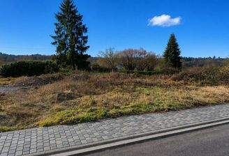 Bild1