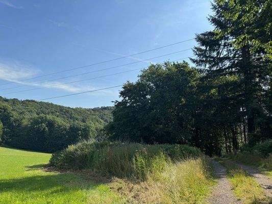 Wald- und Grünlandfläche 