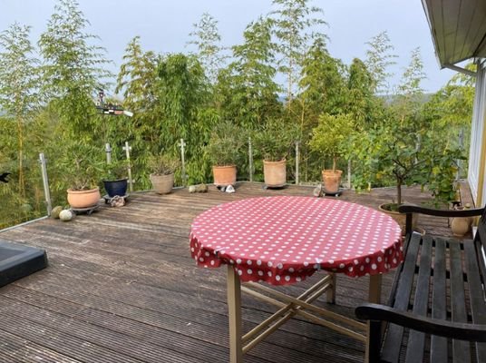 Bild4
