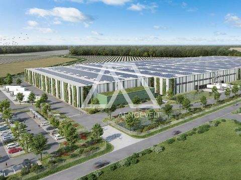 Luckau Halle, Luckau Hallenfläche