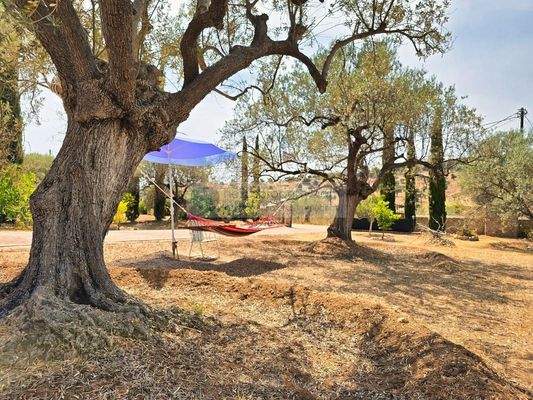 d11aef442679482781b53d797735e6b7-original