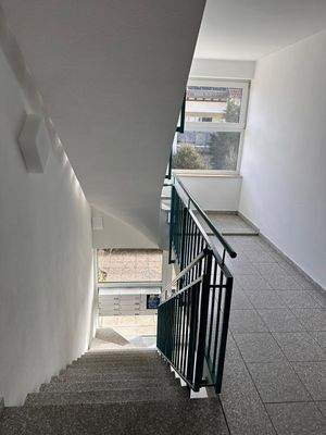 WhatsApp Image 2026-02-24 at 12.44.32 (1).jpeg