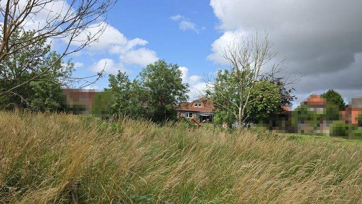 Blick ins Grüne.jpg