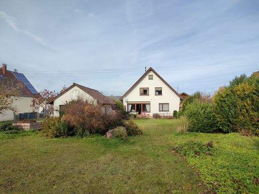 Garten, Blick zum Haus 