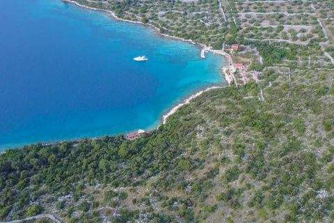 Murter-Kornati Bauernhöfe, Landwirtschaft, Murter-Kornati Forstwirtschaft