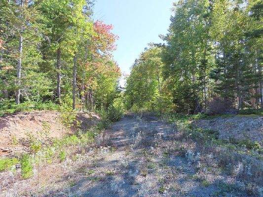 Cape Breton - Bras d`Or Lake - Tolles See-Ufergrun