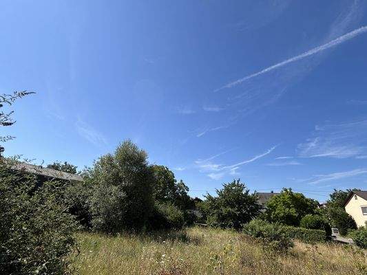 Blick aufs Grundstück