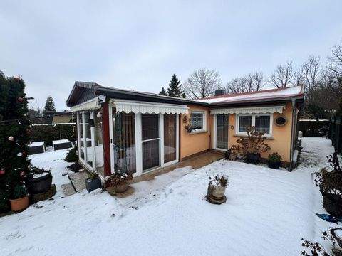 Belgern-Schildau Häuser, Belgern-Schildau Haus kaufen