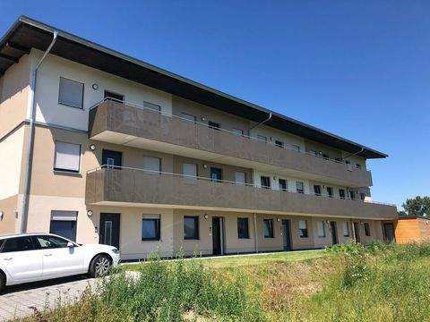 Landau a.d. Isar Wohnungen, Landau a.d. Isar Wohnung mieten