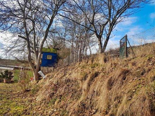 Hintere Grundstückgrenze zum Feld