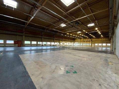 Furth Halle, Furth Hallenfläche