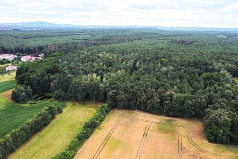 Neukirch/Gottschdorf Grundstücke, Neukirch/Gottschdorf Grundstück kaufen