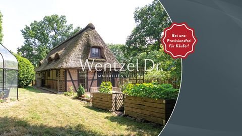 Wenzendorf / Wennerstorf Häuser, Wenzendorf / Wennerstorf Haus kaufen