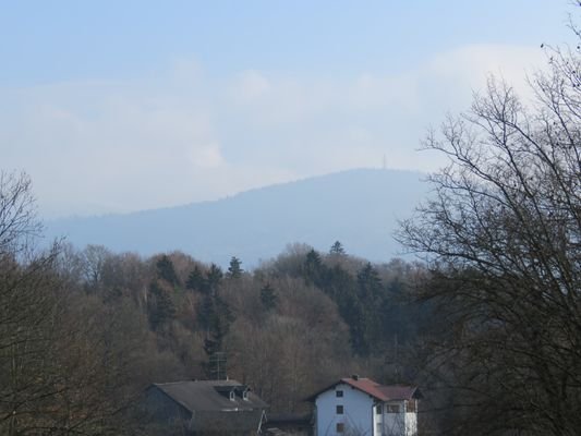 Blick vom unteren Teil des Grundstücks 