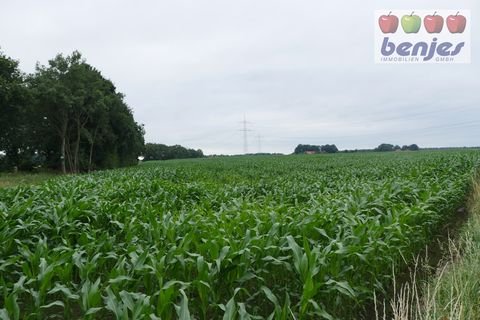 Wietzen Bauernhöfe, Landwirtschaft, Wietzen Forstwirtschaft