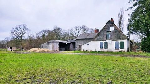 Holste Häuser, Holste Haus kaufen