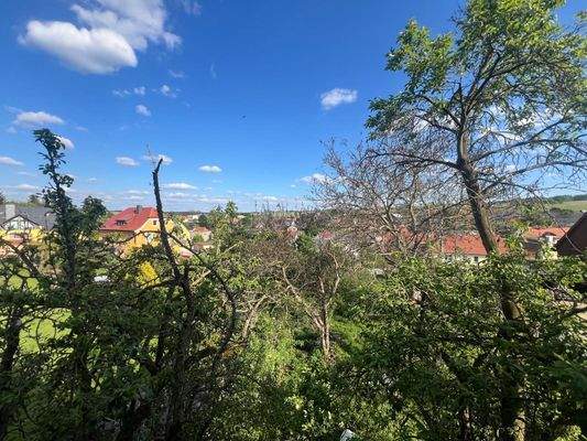 PHOTO-2024-06-14-07-33-41 2.jpg