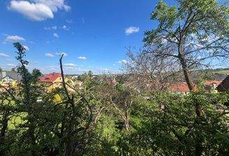 PHOTO-2024-06-14-07-33-41 2.jpg