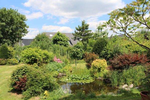 V1658 Blick in den Garten Bild 1