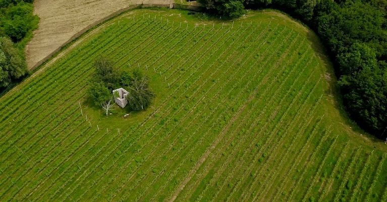 Trento-Trient-Lago-di-Terlago-Weingut-Wein-Vigneto-vino-Costruire-casa-bauen-Grundstück