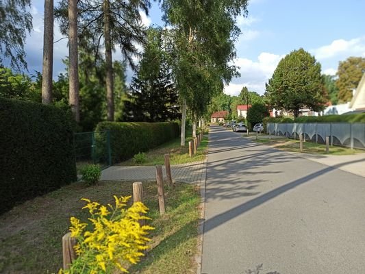 Bereich Straße.jpg