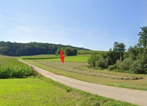 Ehekirchen Bauernhöfe, Landwirtschaft, Ehekirchen Forstwirtschaft