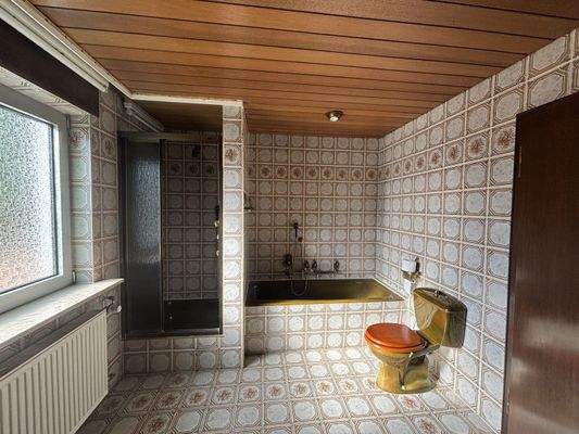 Tglbad Wanne + Dusche Bild 2