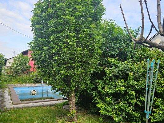 Garten-Pool