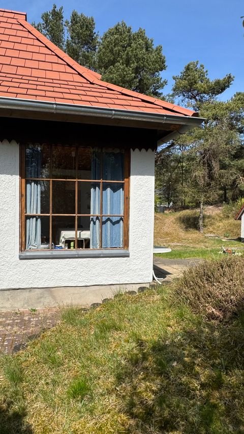 Vitte Häuser, Vitte Haus kaufen
