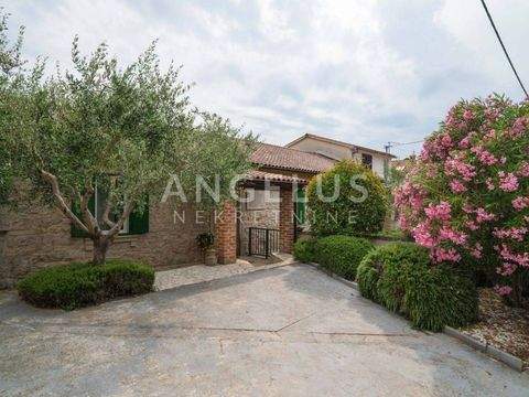 Center Häuser, Center Haus mieten 