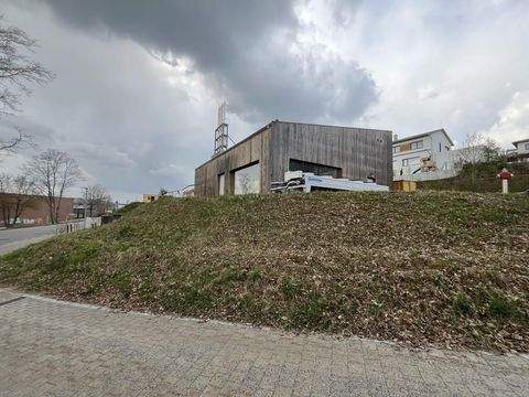 Wenzenbach Halle, Wenzenbach Hallenfläche