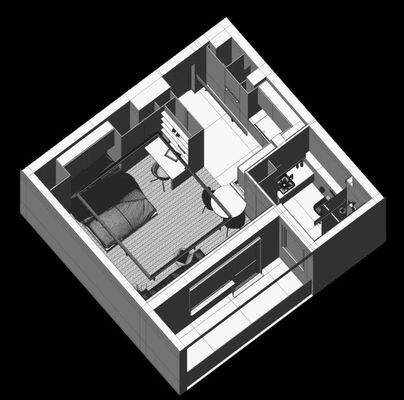 1-Zimmer-Whg Grundriss