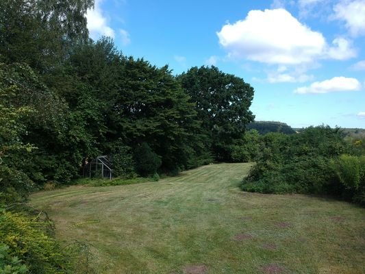 Garten / Potenzielles Baugrundstück