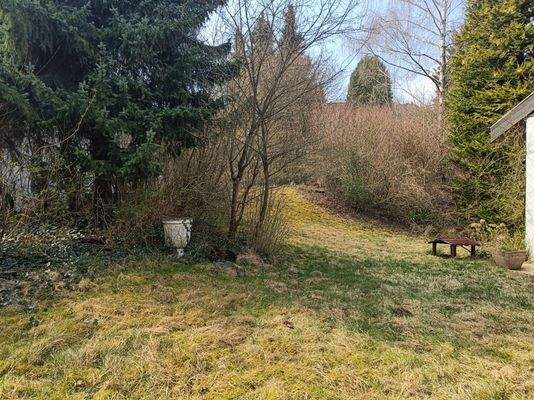 Garten mit stattlichem Baumbestand