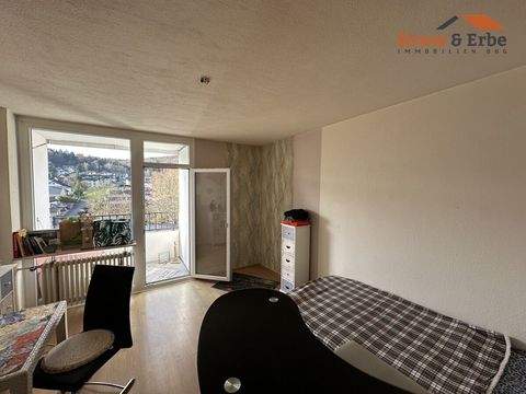 Bad Soden-Salmünster Wohnungen, Bad Soden-Salmünster Wohnung kaufen