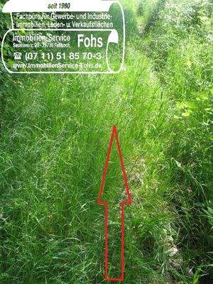 Unterböhr.Flur 1500-1=4.578 m² Zufahrts-Streifen
