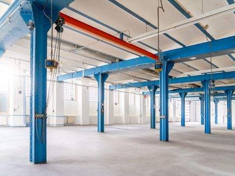 Dresden Halle, Dresden Hallenfläche