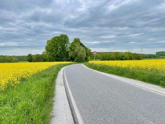 Fußweg zur S-Bahn Station & Bushaltestelle