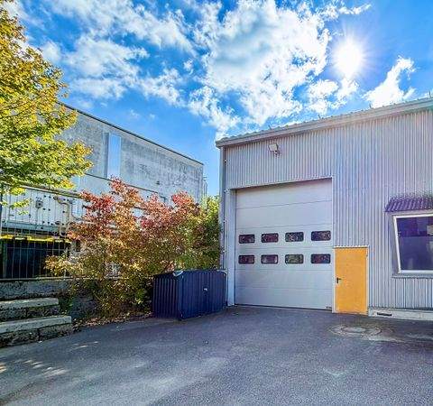 Singen Halle, Singen Hallenfläche