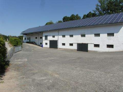 Perach Halle, Perach Hallenfläche
