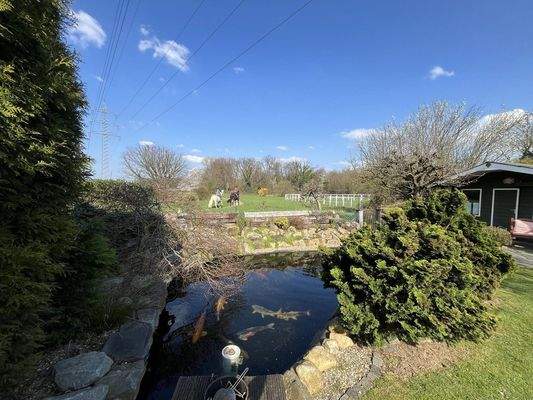 Teich mit Gartenhaus