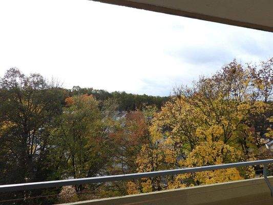 DSCN6623 - Kopie.JPG