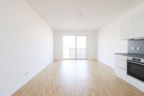 Mainz-Weisenau Wohnungen, Mainz-Weisenau Wohnung mieten