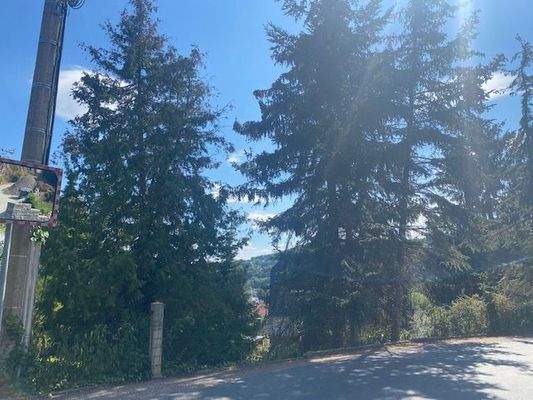 Blick von der Anliegerstrasse