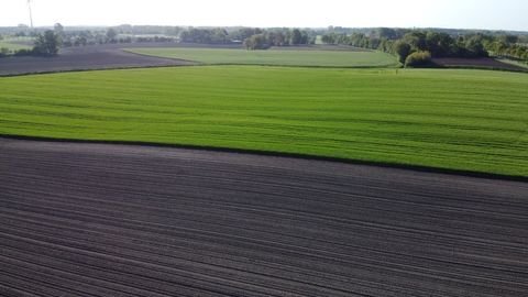 Königsbrunn Bauernhöfe, Landwirtschaft, Königsbrunn Forstwirtschaft